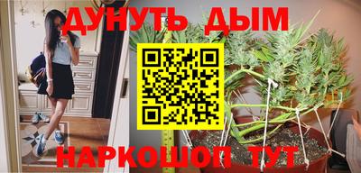 прущие грибы Малоярославец