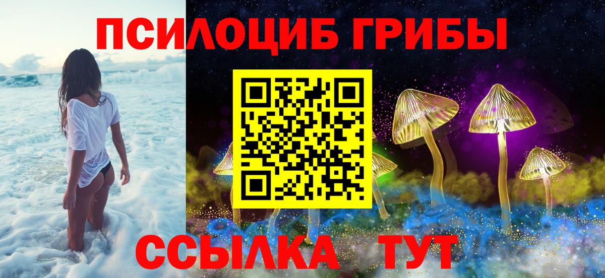 Галлюциногенные грибы Magic Shrooms Хасавюрт